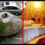 Экономный китаец построил дом-яйцо, чтобы не снимать квартиру