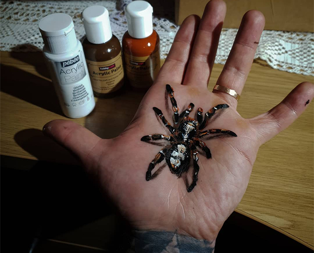 Тату в виде пауков и пчёл с 3D-эффектом 44
