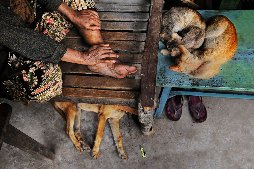 Фотограф показывает взаимоотношения между людьми и животными 105