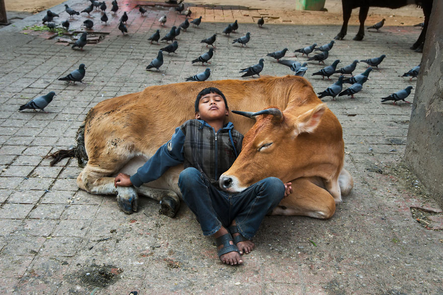 Фотограф показывает взаимоотношения между людьми и животными 106