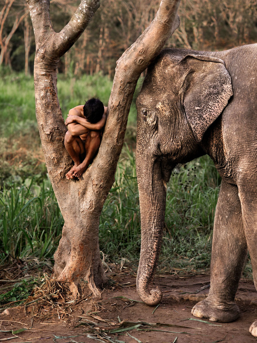 Фотограф показывает взаимоотношения между людьми и животными 110