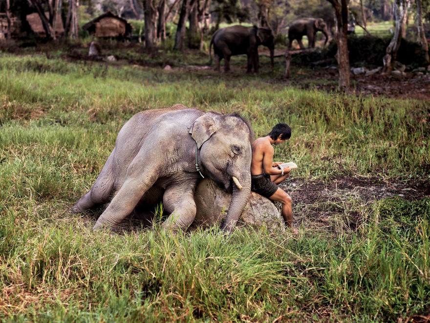 Фотограф показывает взаимоотношения между людьми и животными 109