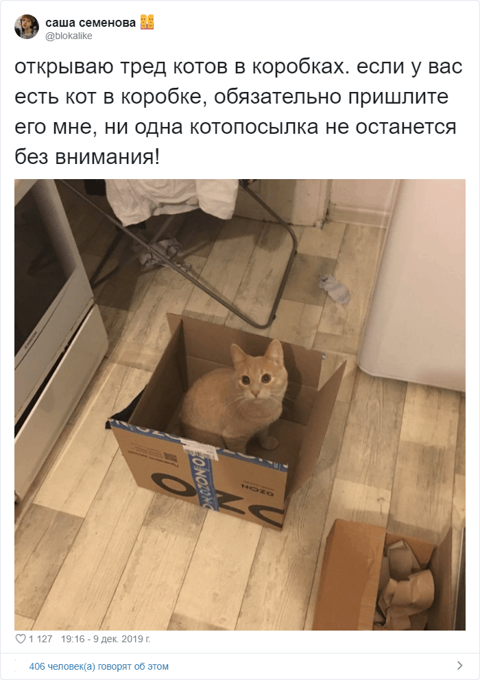 30 забавных фотодоказательств того, что коты просто созданы для коробок. А коробки — для котов 100