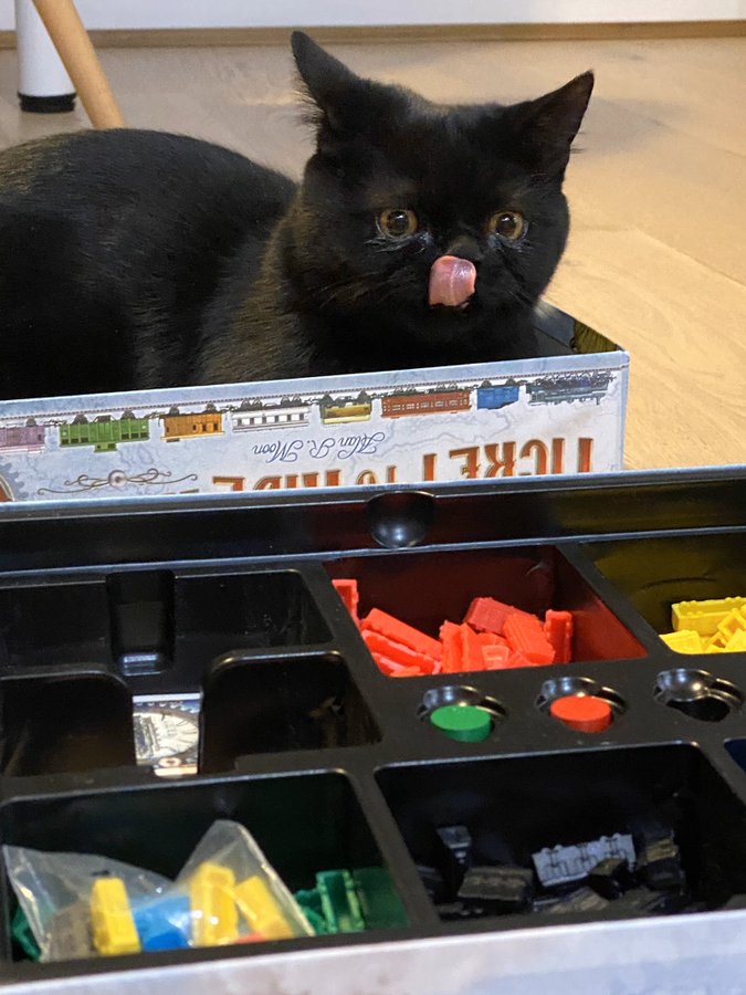 30 забавных фотодоказательств того, что коты просто созданы для коробок. А коробки — для котов 103