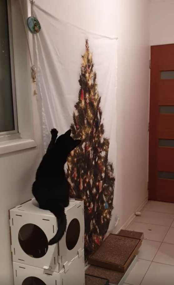 Девушка придумала способ поставить «ёлку» в доме, где живут кошки. Только их это не остановило 33
