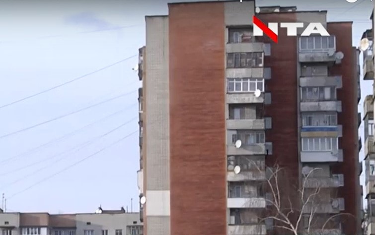 1700 летучих мышей попытались отобрать у жителей Львова их балкон, чтобы перезимовать в комфорте 22