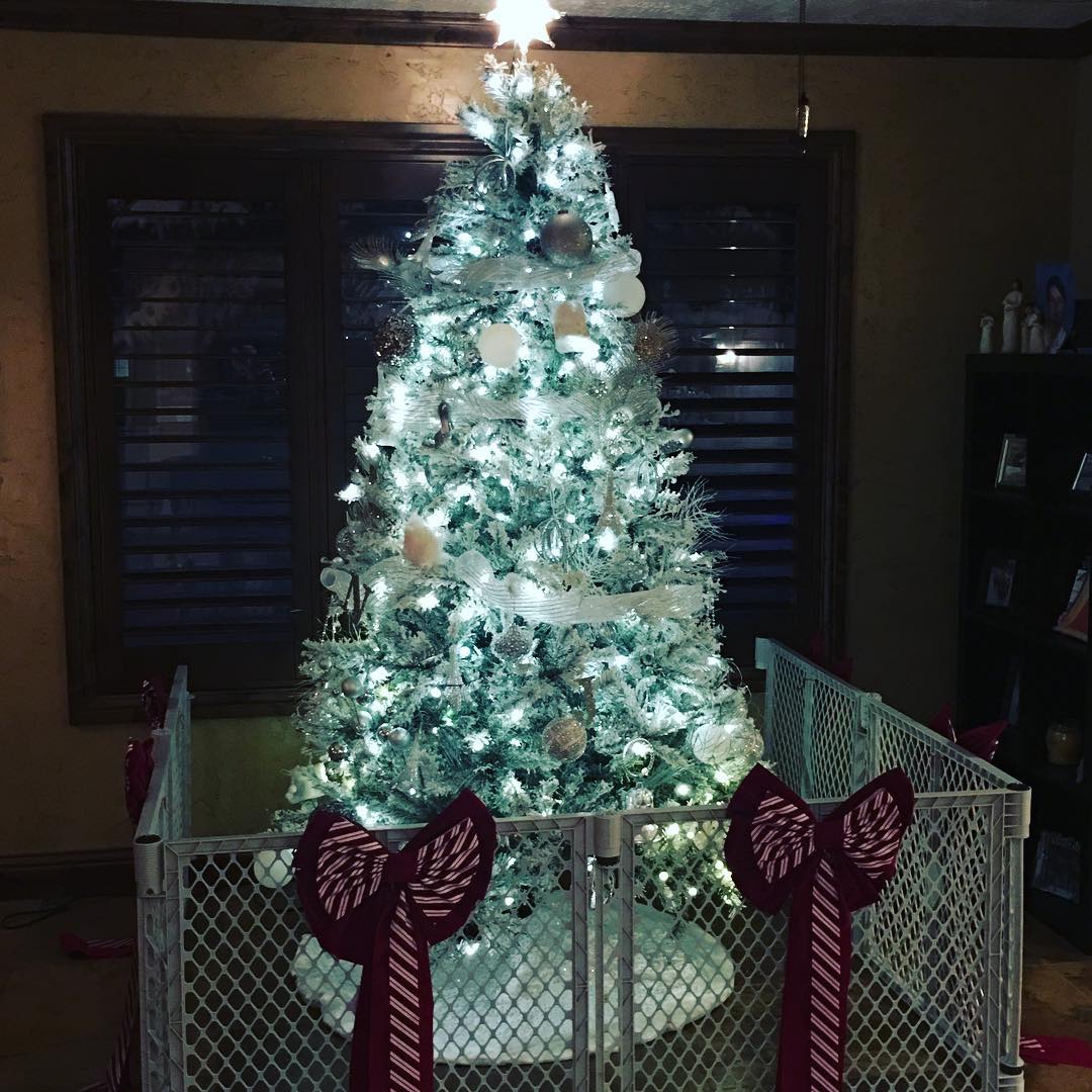 Владельцы домашних питомцев поделились лайфхаками, как сберечь от них новогоднюю елку 53