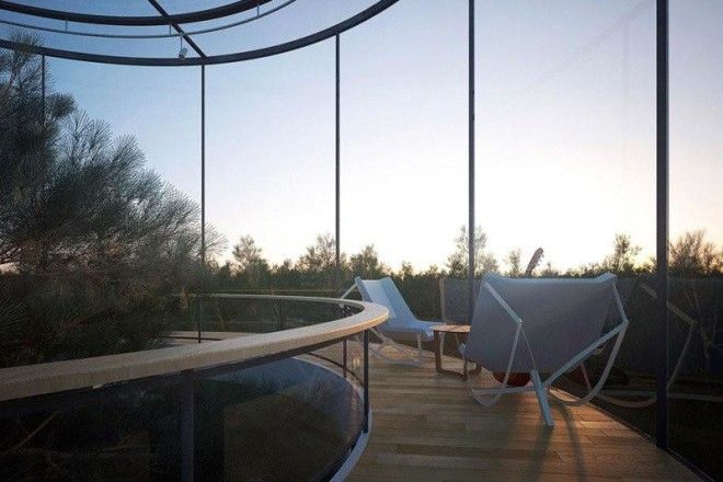 Казахский дизайнер спроектировал потрясающий стеклянный дом в виде... трубы вокруг дерева 30