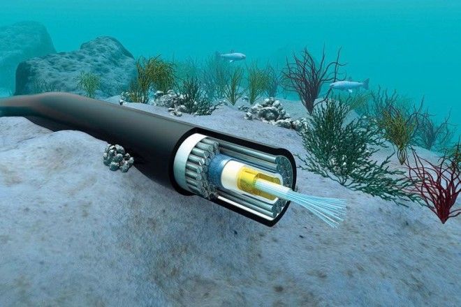 10 интересных фактов о подводных Интернет-кабелях 30