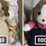В Японии старые плюшевые игрушки отправляются в «больницу», и после лечения их не узнать