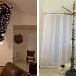 Владельцы домашних питомцев поделились лайфхаками, как сберечь от них новогоднюю елку