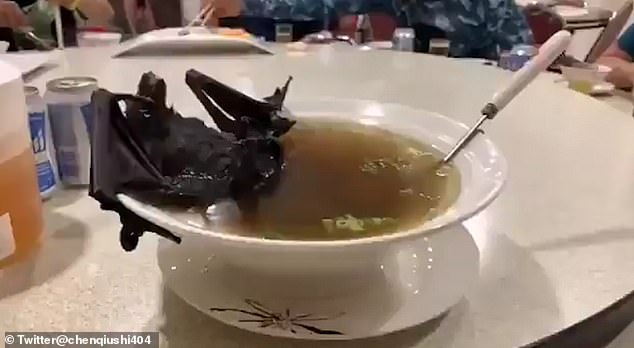 Китаянка ест летучую мышь целиком (видео) 12