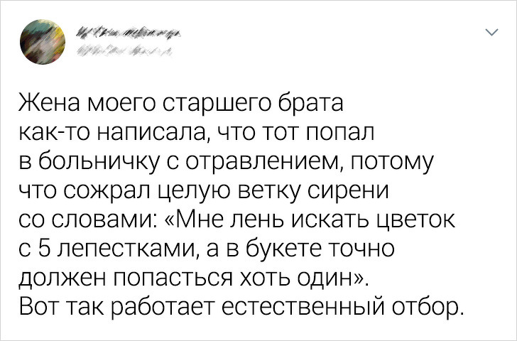 Мужчины с особым талантом — нарываться на неприятности 65