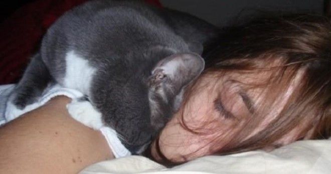 Вот почему коты так любят спать на хозяевах! 11