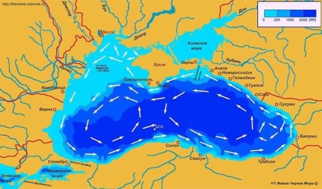 7 фактов о Черном море 22
