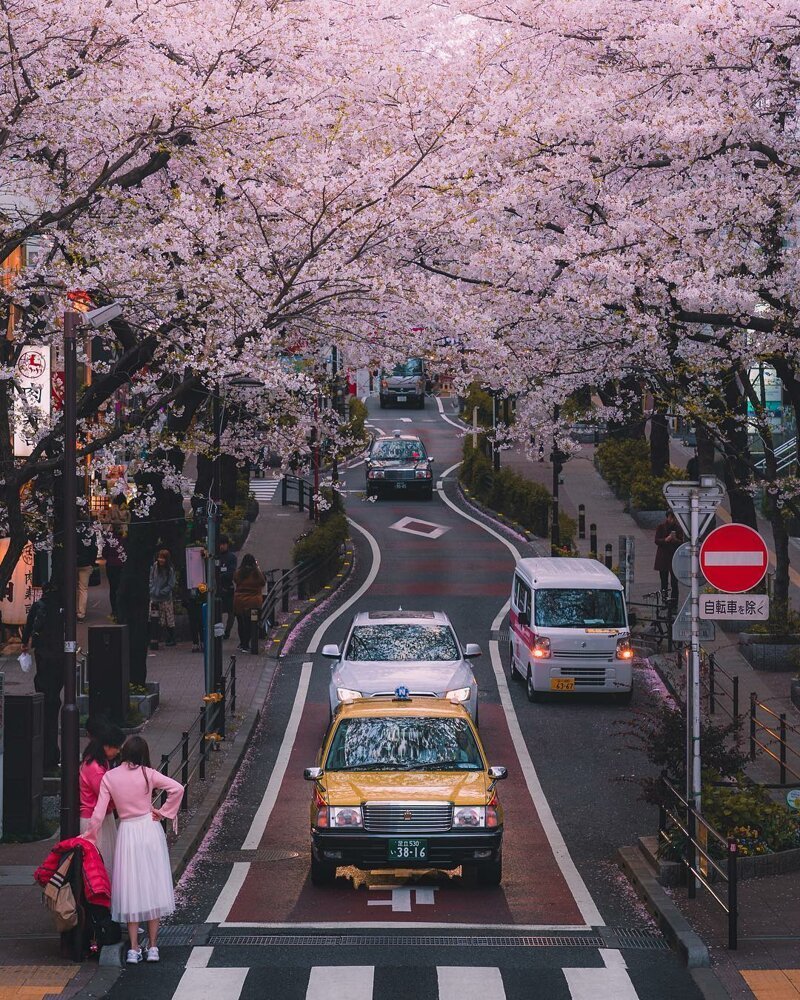 Потрясающие городские пейзажи Японии 92