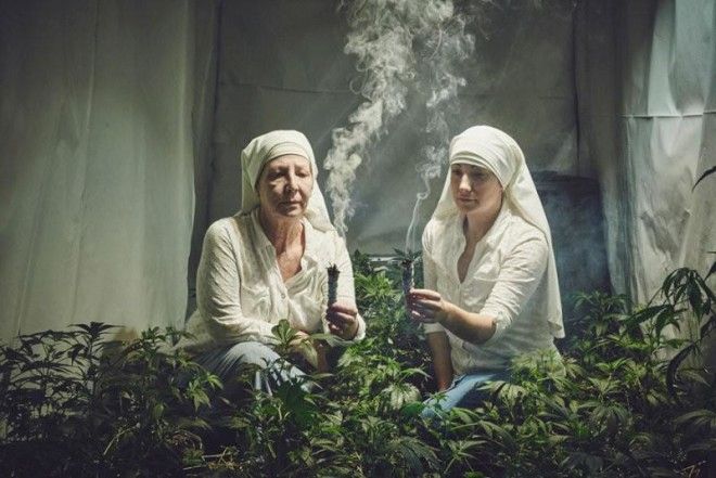 Бог в каждом флаконе: монашки выращивают… марихуану 36
