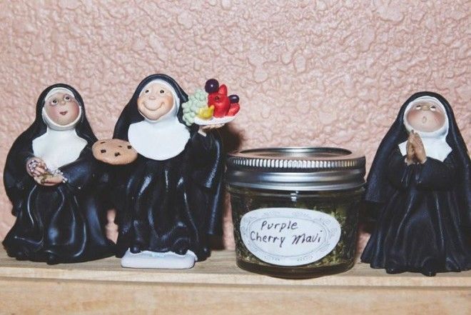 Бог в каждом флаконе: монашки выращивают… марихуану 41