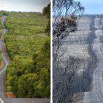 21 снимок “до и после” показывает ужасные последствия пожаров в Австралии