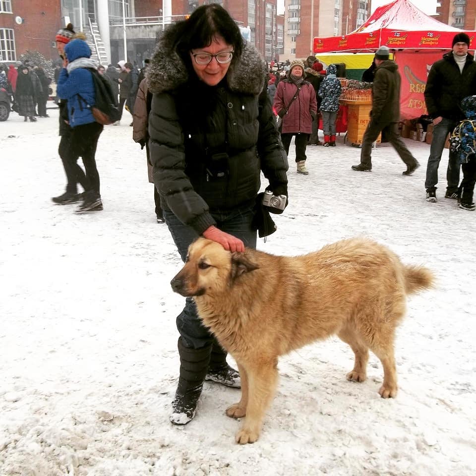 Бездомный пёс Кефир стал лучшей собакой России. Ему завели свой Инстаграм, и даже предлагают его на пост мэра 42