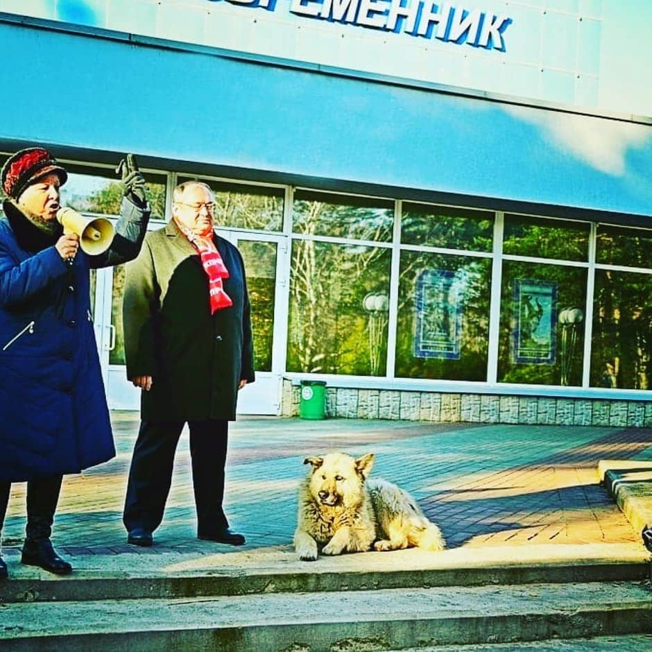 Бездомный пёс Кефир стал лучшей собакой России. Ему завели свой Инстаграм, и даже предлагают его на пост мэра 45