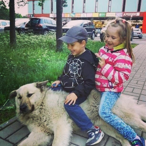 Бездомный пёс Кефир стал лучшей собакой России. Ему завели свой Инстаграм, и даже предлагают его на пост мэра 47