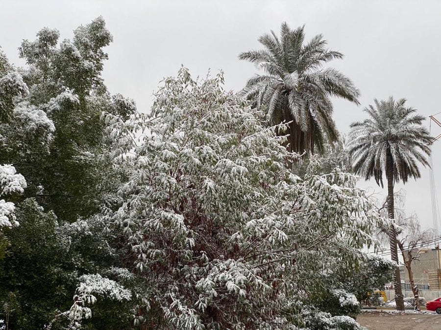В Багдаде впервые за 12 лет выпал снег, и местные использовали его по максимуму, сделав фото со всех ракурсов! 57
