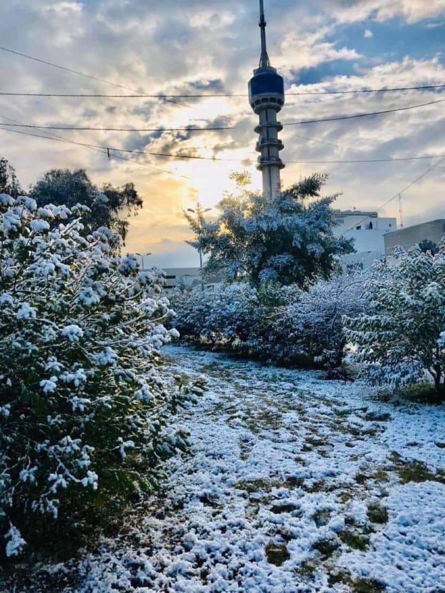 В Багдаде впервые за 12 лет выпал снег, и местные использовали его по максимуму, сделав фото со всех ракурсов! 67