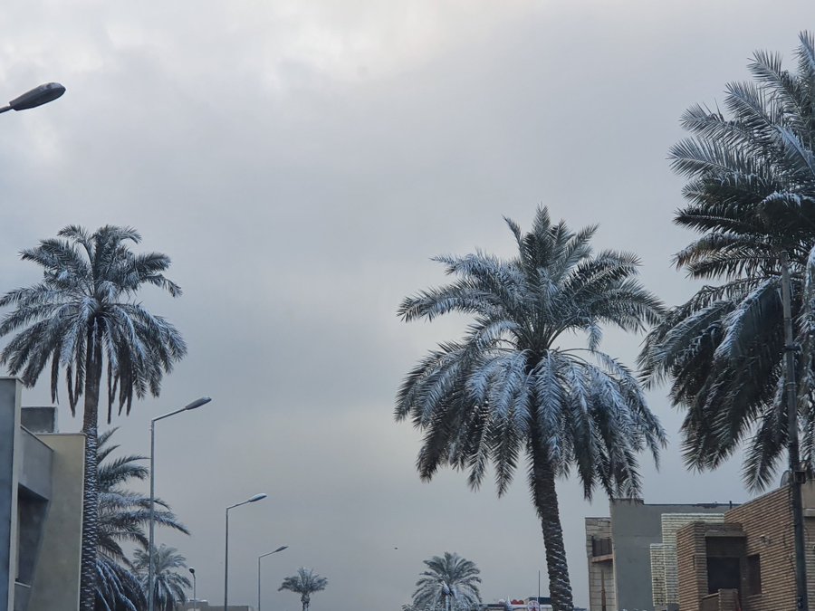 В Багдаде впервые за 12 лет выпал снег, и местные использовали его по максимуму, сделав фото со всех ракурсов! 68