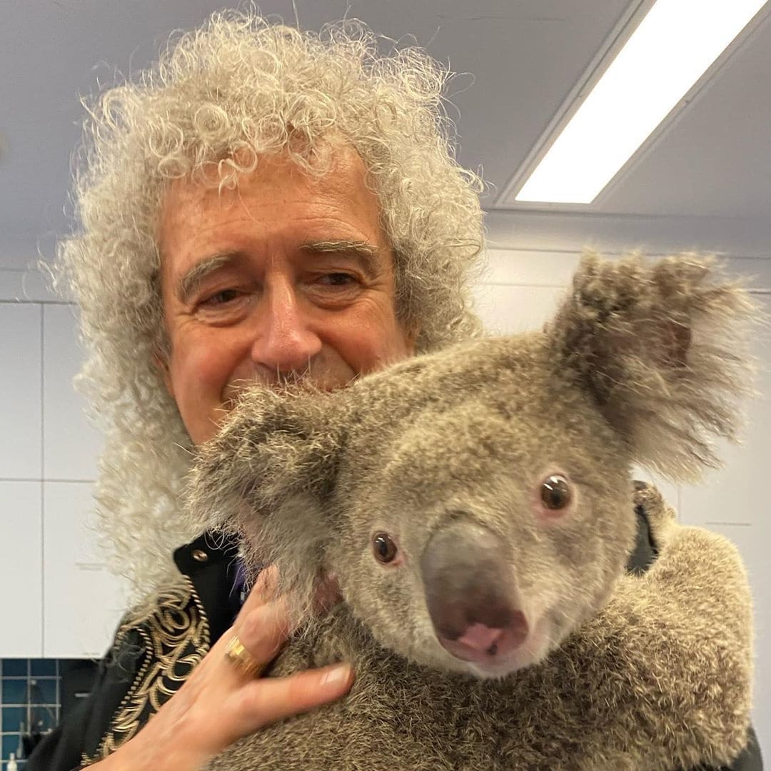 Гитарист Queen Брайан Мэй сыграл для спасённых от пожара коал в Австралии. И это — лишь часть большого дела 22