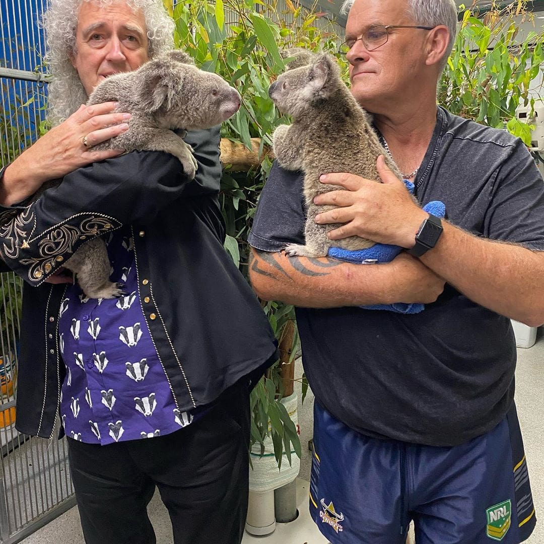 Гитарист Queen Брайан Мэй сыграл для спасённых от пожара коал в Австралии. И это — лишь часть большого дела 23