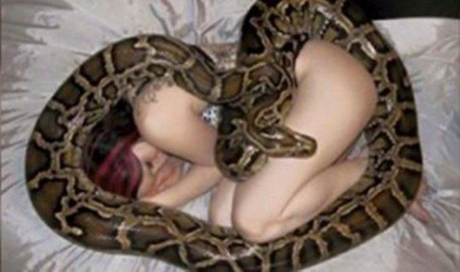 Девушка обожала своего питона и спала с ним каждую ночь. Но вдруг змея начала худеть 14
