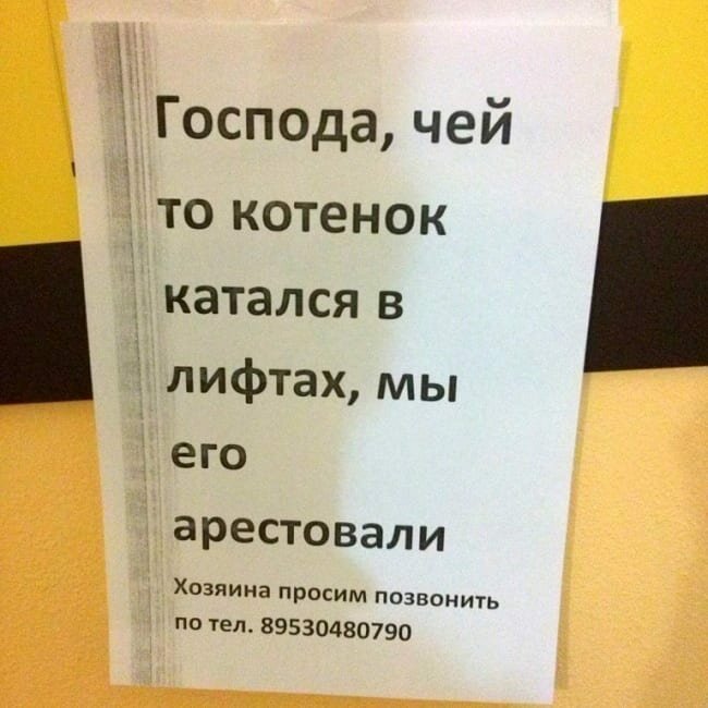 Забавные объявления и надписи, которые могли сделать только в России 62