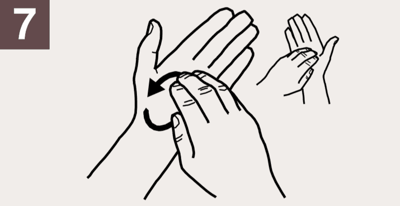 Как правильно мыть руки, чтобы обезопасить себя от инфекций? Инструкция Всемирной организации здравоохранения 44