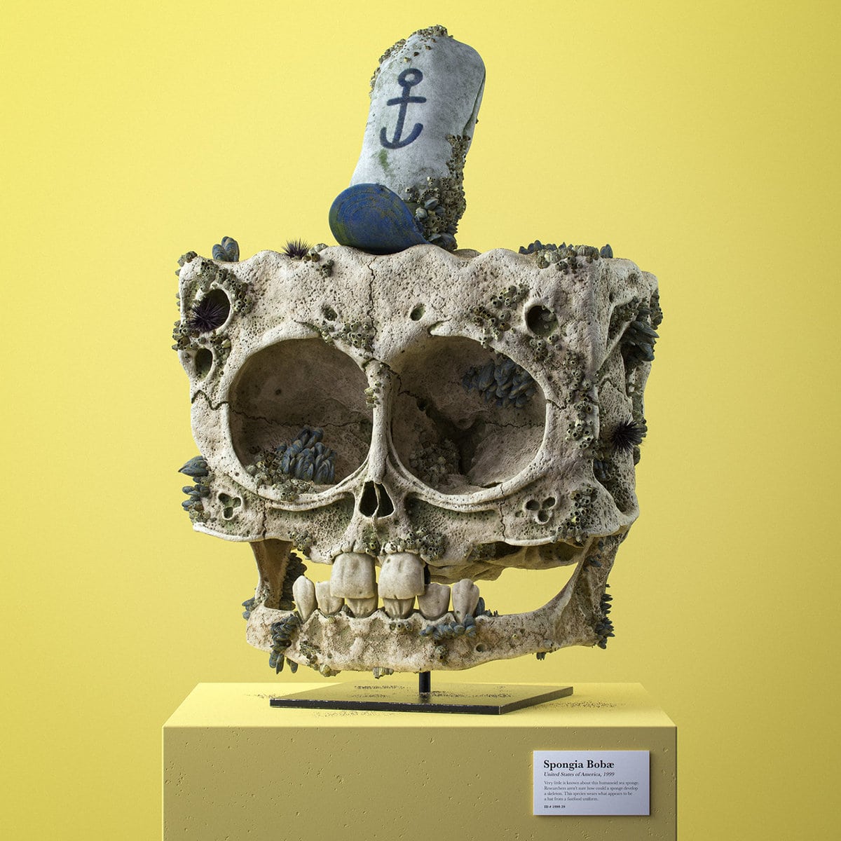 3D-художник создал проект, в котором показал, как могли бы выглядеть черепа персонажей известных мультфильмов 44