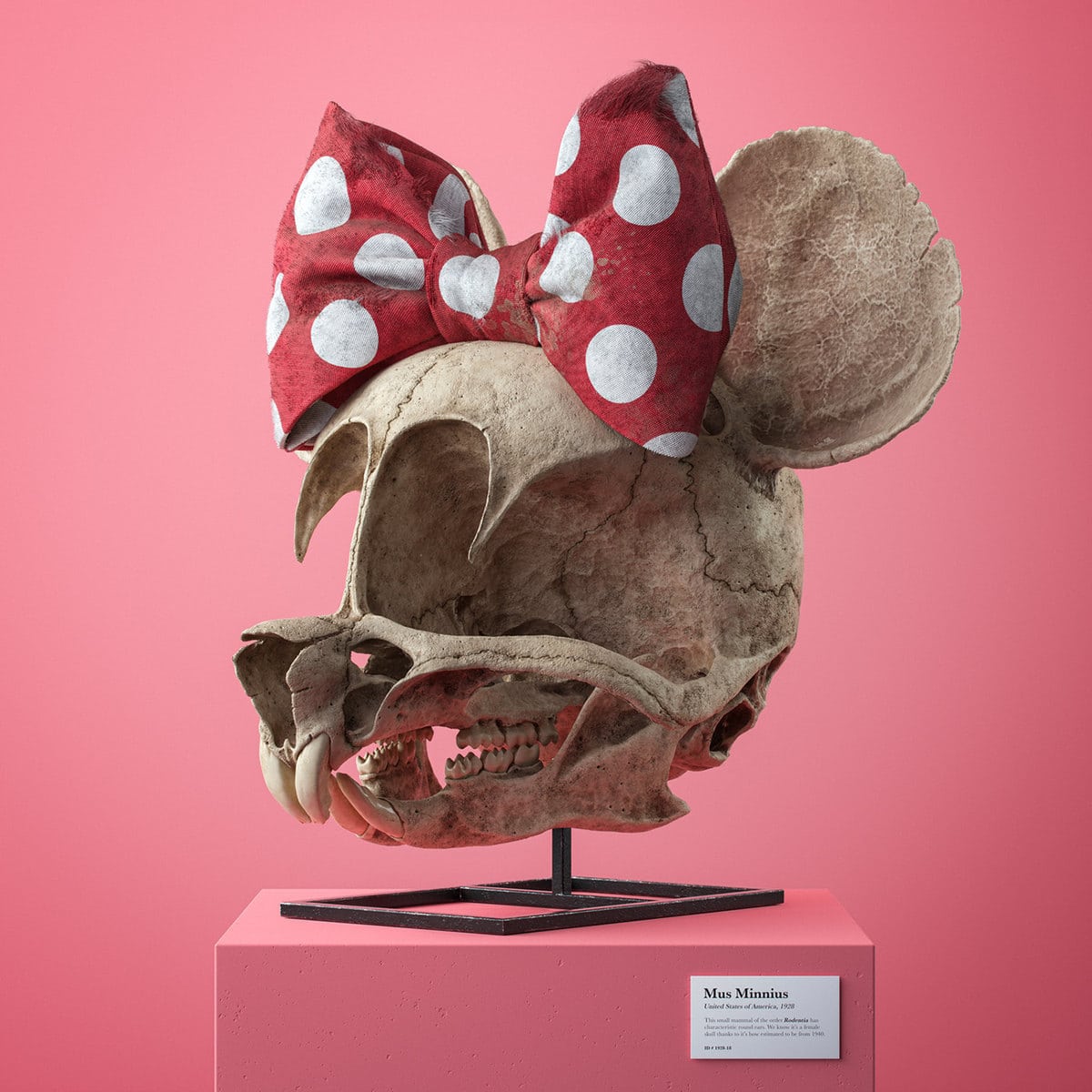3D-художник создал проект, в котором показал, как могли бы выглядеть черепа персонажей известных мультфильмов 48