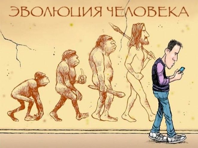 19 сатирических карикатур про эволюцию 49