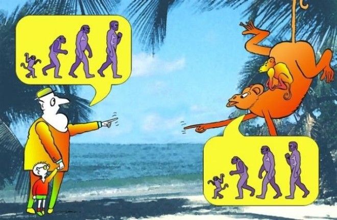 19 сатирических карикатур про эволюцию 46