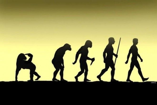 19 сатирических карикатур про эволюцию 47