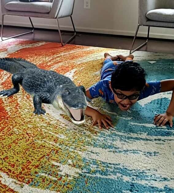 Пользователи Твиттера обнаружили, что в Google можно перенести 3D-зверей в реальность. И дети в восторге! 30
