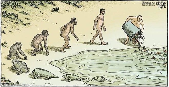 19 сатирических карикатур про эволюцию 38