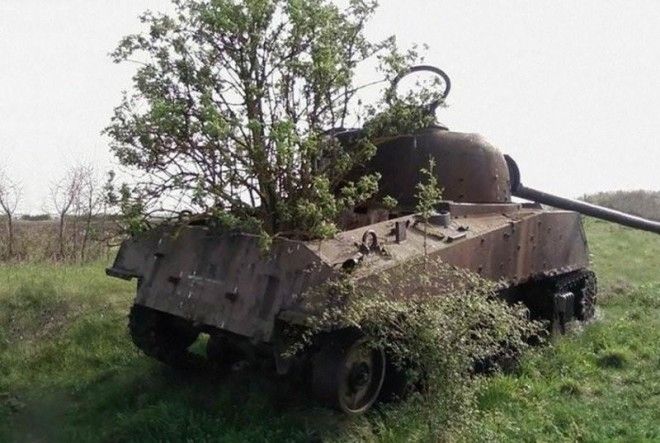 10 фотографий танков, захваченных природой 35