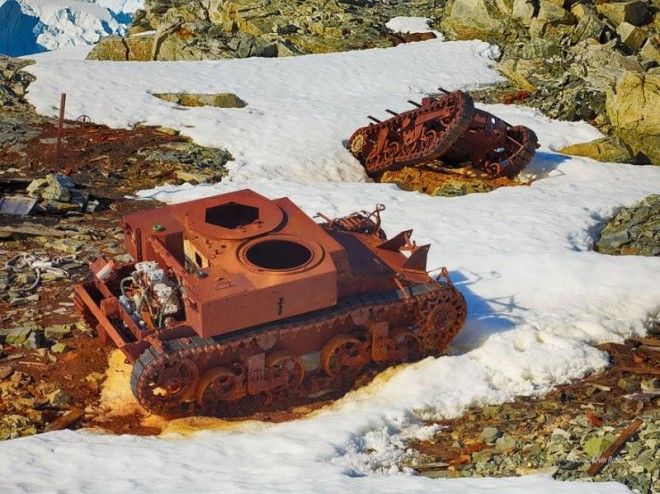 10 фотографий танков, захваченных природой 36