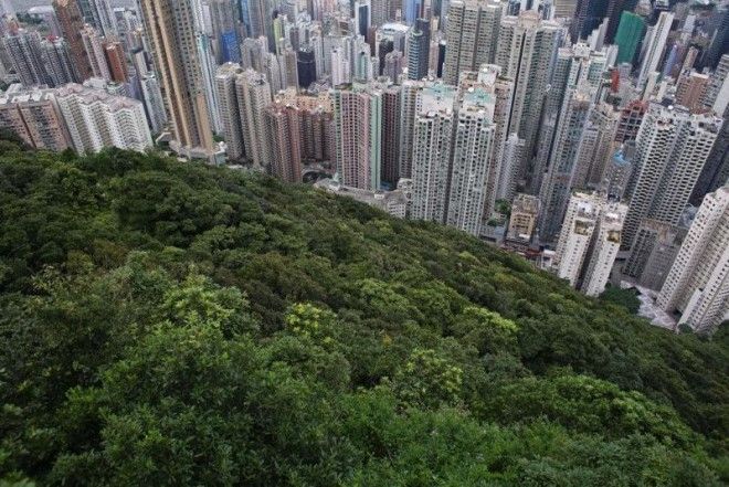 Головокружительные городские пейзажи Гонконга 45