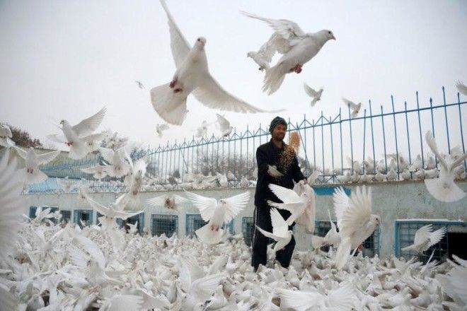 Фото повседневной жизни в Афганистане 37