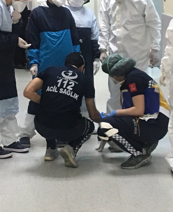 В Турции кошка принесла своего ребёнка в отделение скорой помощи. Человеческие врачи не могли им не помочь 23