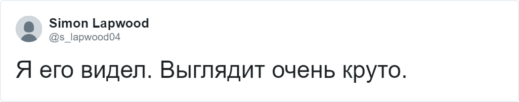 Тигра в британском лесу прибыла ловить полиция и вертолёт. Но операцию отменили, как только увидели его живьём 24