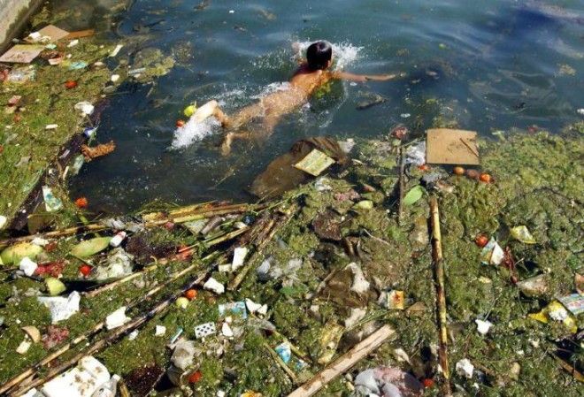 22 жутчайших фото-факта о том, как мусор убивает нашу планету 30