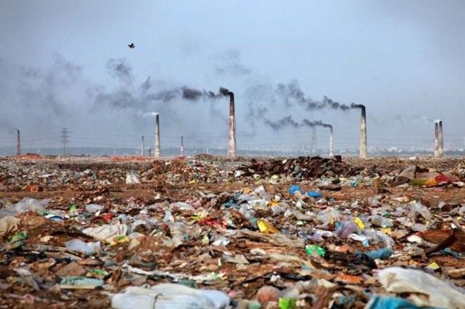 22 жутчайших фото-факта о том, как мусор убивает нашу планету 31