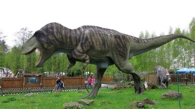 5 новейших фактов о динозаврах 17